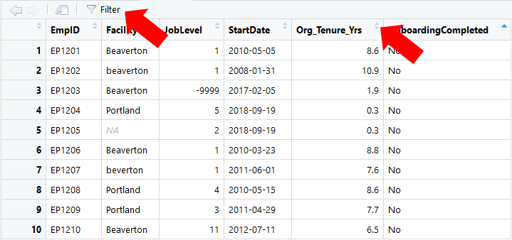 Reviewing data using the View function from base R.