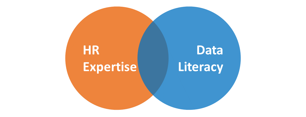 At the most basic level, proficiency in HR analytics involves the integration of knowledge, skills, abilities, and other characteristics (KSAOs) associated with HR expertise and data literacy.