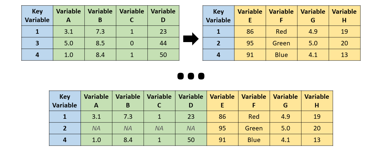 In a right join, only cases (or observations) that appear in the right (y, second) data frame are retained, even if they lack a match in the left (x, first) data frame.